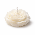 Peony Candles & Jo Switzerland